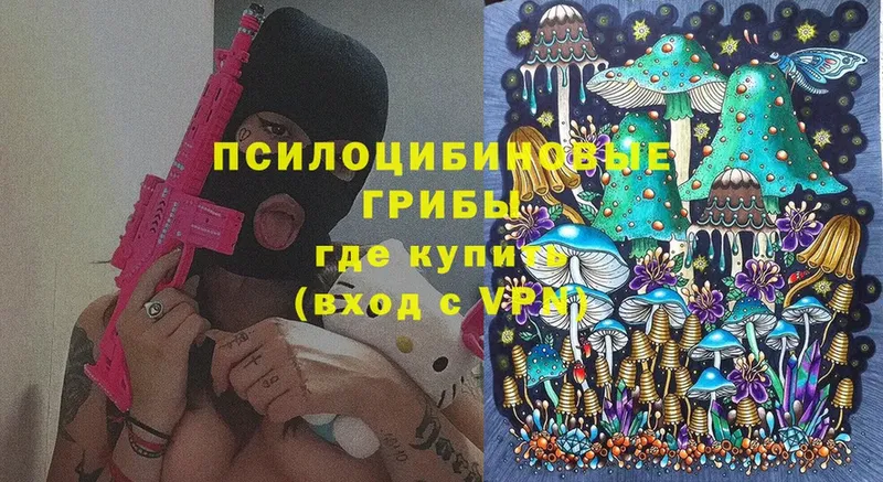 Галлюциногенные грибы Cubensis  Ряжск 